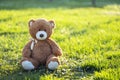 Big plush teddy bear sitting alone on green grass lawn in summer. Concept of childhood Royalty Free Stock Photo