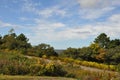 Big Pocono State Park in Pennsylvania Royalty Free Stock Photo