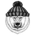 Big polar bear, White bear Cool animal wearing knitted winter hat. Warm headdress beanie Christmas cap for tattoo, t