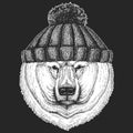 Cute animal wearing knitted winter hat Big polar bear, White bear Hand drawn illustration for tattoo, t-shirt, emblem