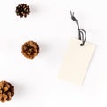 Big price tag with pine cones on white background Royalty Free Stock Photo