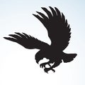 Eagle. Vector drawing