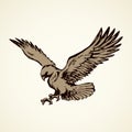 Eagle. Vector drawing Royalty Free Stock Photo