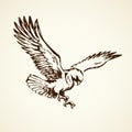 Eagle. Vector drawing Royalty Free Stock Photo