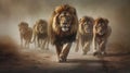 A big pride male line, king of the pride, walking in front of and leading other lions in the family. Leadership concept.