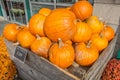 Big Pumkins Royalty Free Stock Photo