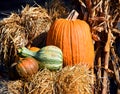 Big Pumpkin Little Gourd Royalty Free Stock Photo