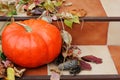 Big pumpkin on the stairs Royalty Free Stock Photo