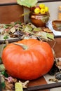 Big pumpkin on the stairs Royalty Free Stock Photo