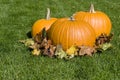 Big Pumpkins and Autumn Leaves Royalty Free Stock Photo