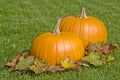 Big Pumpkins and Autumn Leaves Royalty Free Stock Photo