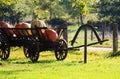 Big pumpkins on isolated old antique wooden cart wagon in bright autumn sun on a meadow of a dutch rural farm - Netherlands Royalty Free Stock Photo