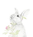 Big Rabbit. Pencil Draw with watercolor floral dÃÂ©cor. Forest animal