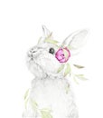 Big Rabbit. Pencil Draw. Watercolor floral decor. Nursery Wall Art