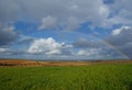 Big rainbow over fields of vines and green wheat fields Royalty Free Stock Photo