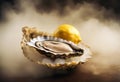 big raw oyster Royalty Free Stock Photo