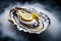 big raw oyster Royalty Free Stock Photo