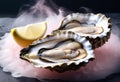 big raw oyster Royalty Free Stock Photo