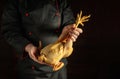 Big raw rooster in the chef hands. Cock presentation before preparing a delicious dish in the kitchen. Choice of chicken before