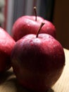 Big red apple. Close-up shot. Wet fruits Royalty Free Stock Photo