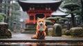 Epic Portraiture: Red Fox In Rain Near Japanese Temple