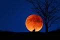 Big red full moon in blue sky and the field in the evening