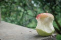 Big red and green apple was bite Royalty Free Stock Photo