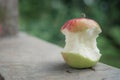 Big red and green apple was bite Royalty Free Stock Photo