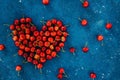 Big red heart made of ripe homegrown cherries on the blue concrete cosmos background. Summer june fruit harvest. Free copy space, Royalty Free Stock Photo