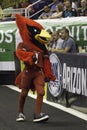 Big Red NFL Arizona Cardinals Mascot Royalty Free Stock Photo