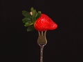 Big red ripe strawberry on a silver dessert fork Royalty Free Stock Photo