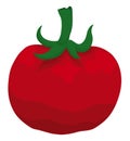 Big and red ripe tomato with stem over white background, Vector illustration