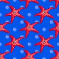 Big Red Starfish Royalty Free Stock Photo