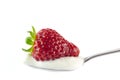 Strawberry in a spoon of yogurt Royalty Free Stock Photo