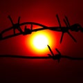 Big red sun Royalty Free Stock Photo
