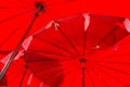 Big Red Umbrellas