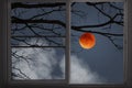 Big red wolf moon behind black branches in window view Royalty Free Stock Photo