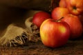 Big red- yellow apple are on a background of dark wood selective fokus