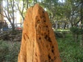 Big reddish brown color termite mound Royalty Free Stock Photo