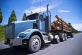 Big rig semi truck carry trees logs on straight road