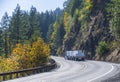 Big rig semi truck transporting lumber on the flat bed semi trailer running on winding autumn road