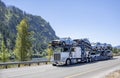 Big rig white classic car hauler semi truck transporting cars on the modular two level semi trailer driving on the one way road