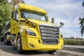 Big rig yellow semi truck with shiny tank semi trailer standing on rest area parking lot with old trees Royalty Free Stock Photo