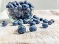 Big, ripe cultivated blueberries or highbush blueberries in a glass bowl and on table covered with gray tablecloth with white