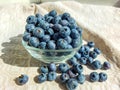 Big, ripe cultivated blueberries or highbush blueberries in a glass bowl and on table covered with gray tablecloth with white