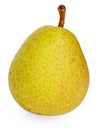 Big ripe pear Royalty Free Stock Photo