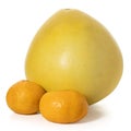 Big ripe pomelo fruit and two tangerines on a white background. Full depth of field. Royalty Free Stock Photo
