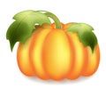 Big ripe pumpkin on Helouin