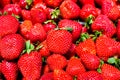 Big ripe strawberries close up texture. Favourite berries concept. Seasonal food