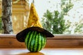 Big ripe striped watermelon in witch hat on wooden bench outdoor. Preparation for unusual halloween concept